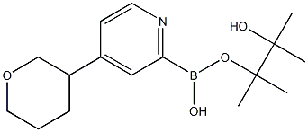 4-(Tetrahydropyran-3-yl)pyridine-2-boronic acid pinacol ester|