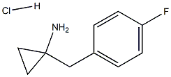 1439903-05-5 结构式