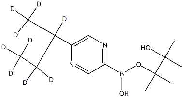 5-(sec-Butyl-d9)-pyrazine-2-boronic acid pinacol ester Struktur