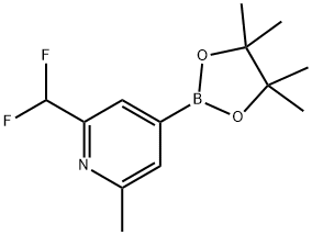 2-(difluoromethyl)-4-(4,4,5,5-tetramethyl-1,3,2-dioxaborolan-2-yl)-6-methylpyridine Struktur