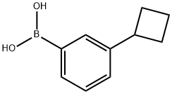 3-Cyclobutylphenylboronic acid|3-环丁基苯基硼酸