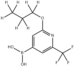 2-(n-Propoxy-d7)-6-trifluoromethylpyridine-4-boronic acid Struktur