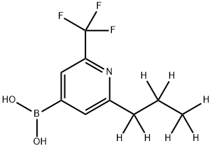 2-(n-Propyl-d7)-6-trifluoromethylpyridine-4-boronic acid Struktur