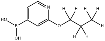 2-(n-Propoxy-d7)-pyridine-4-boronic acid Struktur