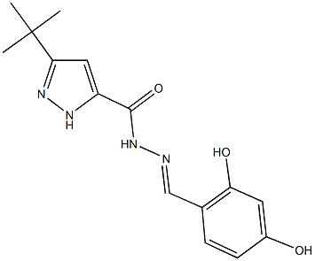 3-tert-butyl-N'-(2,4-dihydroxybenzylidene)-1H-pyrazole-5-carbohydrazide Structure