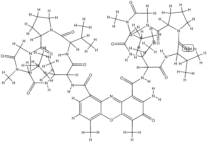 Actinomycin D lactam Struktur