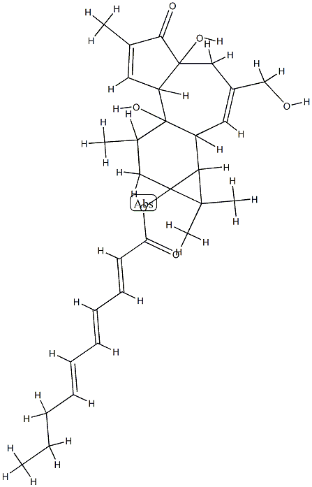 12-데옥시포르볼-13-(2,4,6-데카트리에네이트)