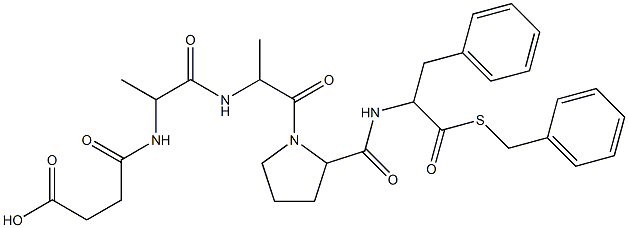 カルボキシペプチダーゼB ヒト膵臓由来