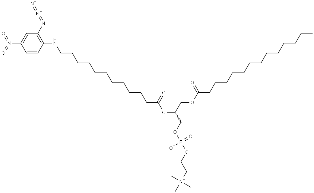 1-myristoyl-2-(2-azido-4-nitrobenzoyl)phosphatidylcholine Structure