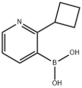 2-(Cyclobutyl)pyridine-3-boronic acid Struktur