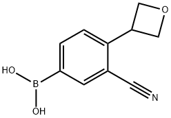 (3-cyano-4-(oxetan-3-yl)phenyl)boronic acid Struktur