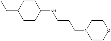 4-ethyl-N-[3-(morpholin-4-yl)propyl]cyclohexan-1-amine Struktur