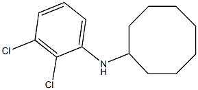 N-(2,3-dichlorophenyl)cyclooctanamine Structure
