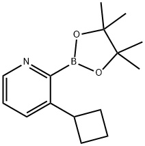3-(Cyclobutyl)pyridine-2-boronic acid pinacol ester Struktur