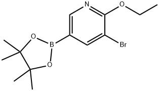 5-Bromo-6-ethoxypyridine-3-boronic acid pinacol ester|3-bromo-2-ethoxy-5-(4,4,5,5-tetramethyl-1,3,2-dioxaborolan-2-yl)pyridine