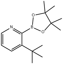 3-(tert-Butyl)pyridine-2-boronic acid pinacol ester|