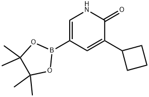 3-cyclobutyl-5-(4,4,5,5-tetramethyl-1,3,2-dioxaborolan-2-yl)pyridin-2(1H)-one|