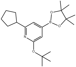 2-(tert-butoxy)-6-cyclopentyl-4-(4,4,5,5-tetramethyl-1,3,2-dioxaborolan-2-yl)pyridine Struktur