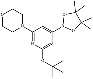 4-(6-(tert-butoxy)-4-(4,4,5,5-tetramethyl-1,3,2-dioxaborolan-2-yl)pyridin-2-yl)morpholine|