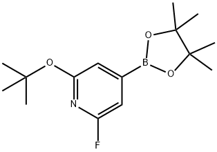 2-(tert-butoxy)-6-fluoro-4-(4,4,5,5-tetramethyl-1,3,2-dioxaborolan-2-yl)pyridine Struktur