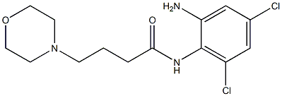 N-(2-amino-4,6-dichlorophenyl)-4-(morpholin-4-yl)butanamide Struktur