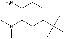 N-(2-amino-5-tert-butylcyclohexyl)-N,N-dimethylamine Struktur