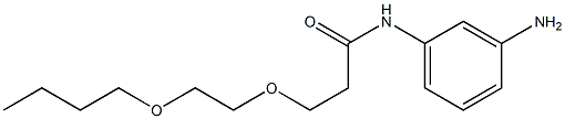 N-(3-aminophenyl)-3-(2-butoxyethoxy)propanamide Struktur