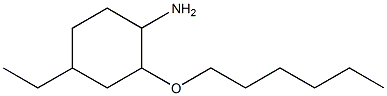 4-ethyl-2-(hexyloxy)cyclohexan-1-amine Struktur