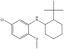 N-(2-tert-butylcyclohexyl)-5-chloro-2-methoxyaniline Struktur
