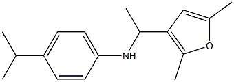 N-[1-(2,5-dimethylfuran-3-yl)ethyl]-4-(propan-2-yl)aniline Struktur