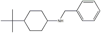 N-benzyl-4-tert-butylcyclohexan-1-amine Structure