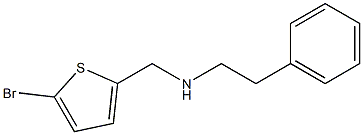 [(5-bromothiophen-2-yl)methyl](2-phenylethyl)amine Structure