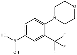 (4-morpholino-3-(trifluoromethyl)phenyl)boronic acid Struktur
