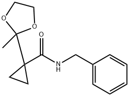 N-Benzyl-1-(2-methyl-1,3-dioxolan-2-yl)cyclopropane-1-carboxamide|N-苄基-1-(2-甲基-1,3-二氧戊环-2-基)环丙烷-1-甲酰胺