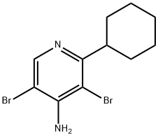 4-Amino-3,5-dibromo-2-(cyclohexyl)pyridine|4-Amino-3,5-dibromo-2-(cyclohexyl)pyridine