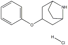 3-phenoxy-8-azabicyclo[3.2.1]octane hydrochloride|3-phenoxy-8-azabicyclo[3.2.1]octane hydrochloride