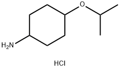 4-(propan-2-yloxy)cyclohexan-1-amine hydrochloride Struktur