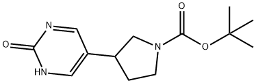 tert-butyl 3-(2-hydroxypyrimidin-5-yl)pyrrolidine-1-carboxylate|