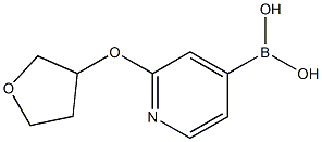 2-(Tetrahydrofuran-3-yloxy)pyridine-4-boronic acid Struktur