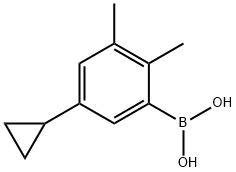 2,3-Dimethyl-5-cyclopropylphenylboronic acid|