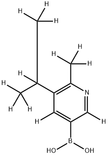 (6-(methyl-d3)-5-(propan-2-yl-d7)pyridin-3-yl-2,4-d2)boronic acid Struktur