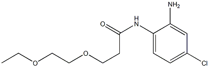 N-(2-amino-4-chlorophenyl)-3-(2-ethoxyethoxy)propanamide Struktur