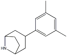 3-(3,5-dimethylphenyl)-8-azabicyclo[3.2.1]octane Structure