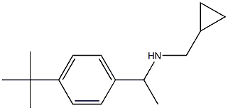 [1-(4-tert-butylphenyl)ethyl](cyclopropylmethyl)amine