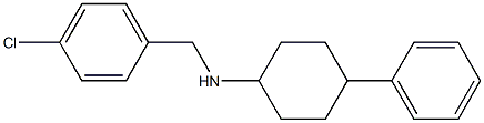 N-[(4-chlorophenyl)methyl]-4-phenylcyclohexan-1-amine Struktur