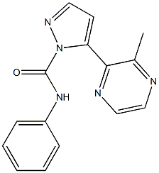 N1-phenyl-5-(3-methylpyrazin-2-yl)-1H-pyrazole-1-carboxamide Struktur