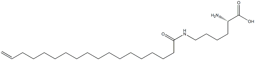 N6-(17-Octadecenoyl)lysine Structure