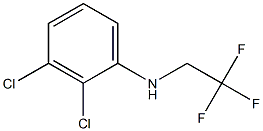 2,3-dichloro-N-(2,2,2-trifluoroethyl)aniline Structure