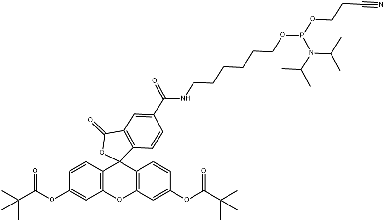 6-FAM AMIDITE) Structure
