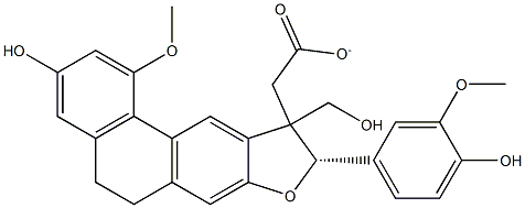 Shanciol H|Shanciol H